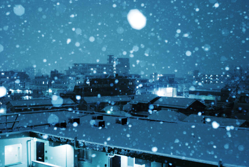 Tokyo Snow Scapes photo1