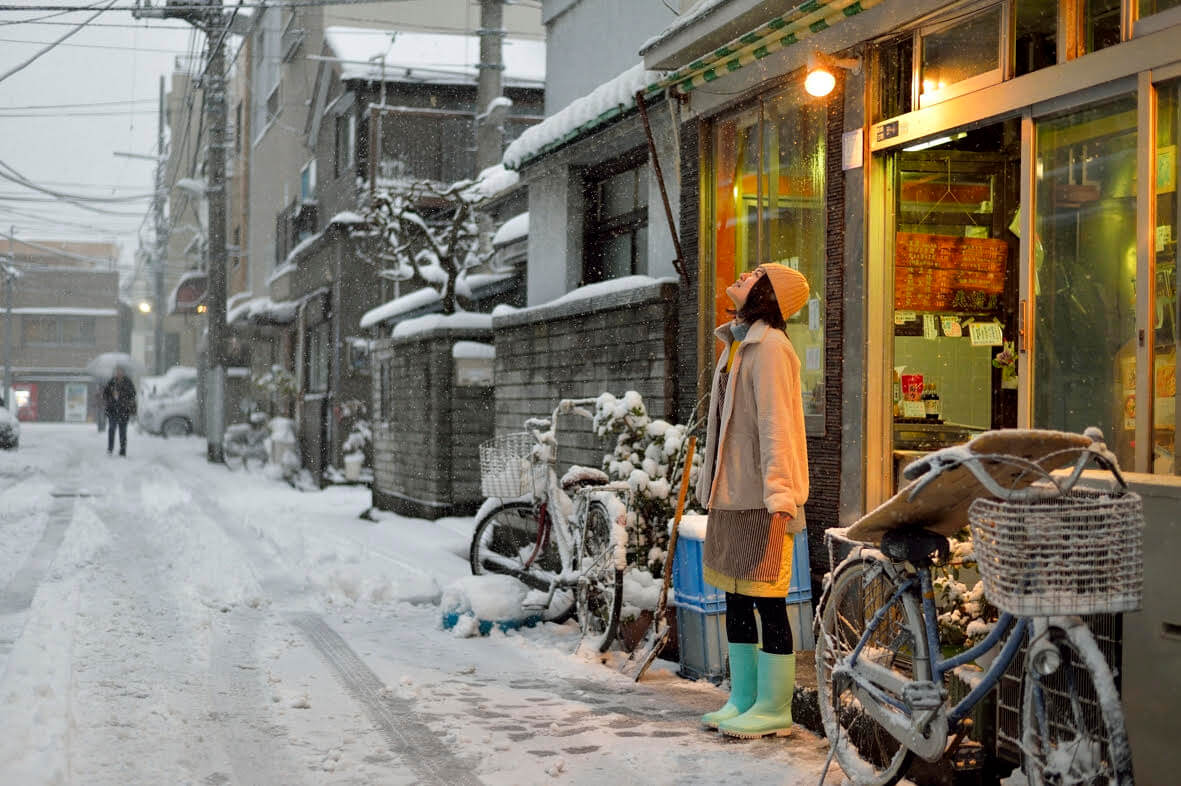 Tokyo Snow Scapes photo2
