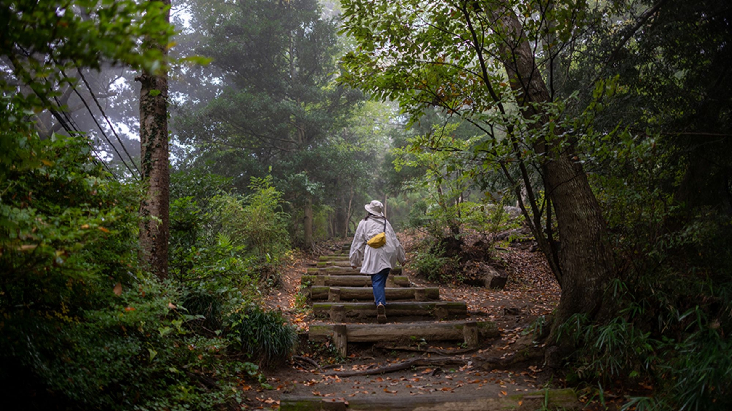Tokyo’s great outdoors Image 20