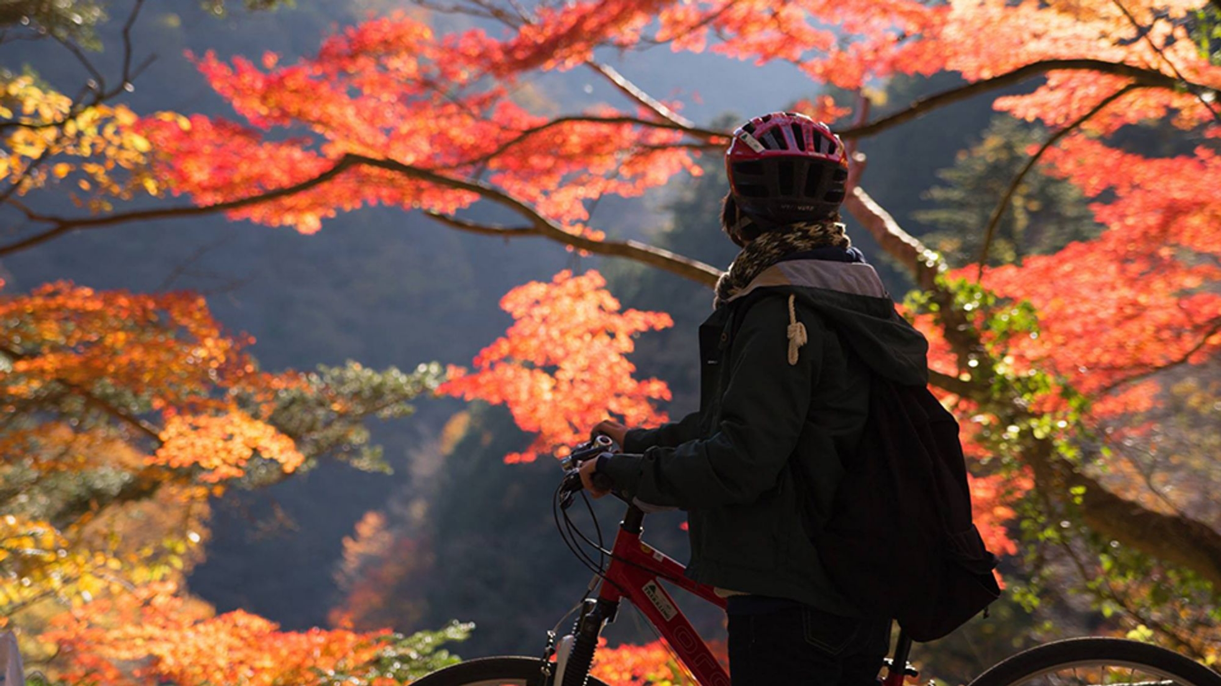 Tokyo’s great outdoors Image 23