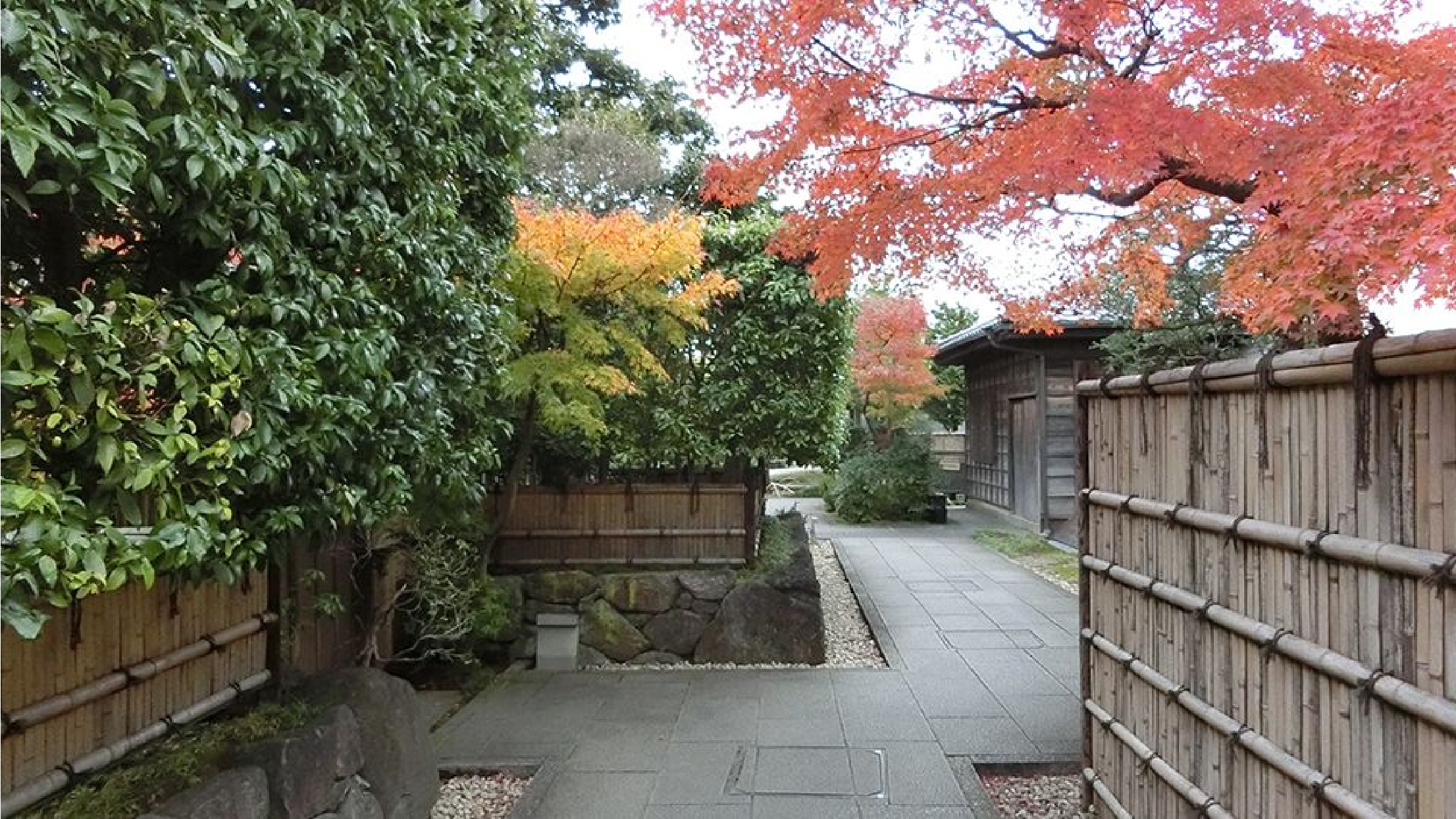 Tokyo’s great outdoors Image 3