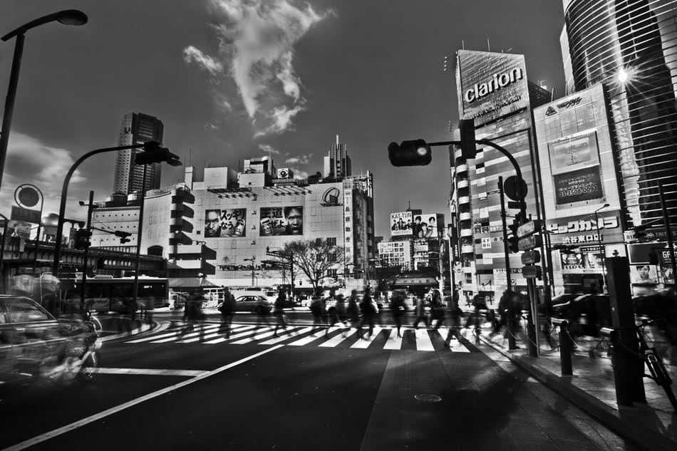 Tokyo Avenue photo7