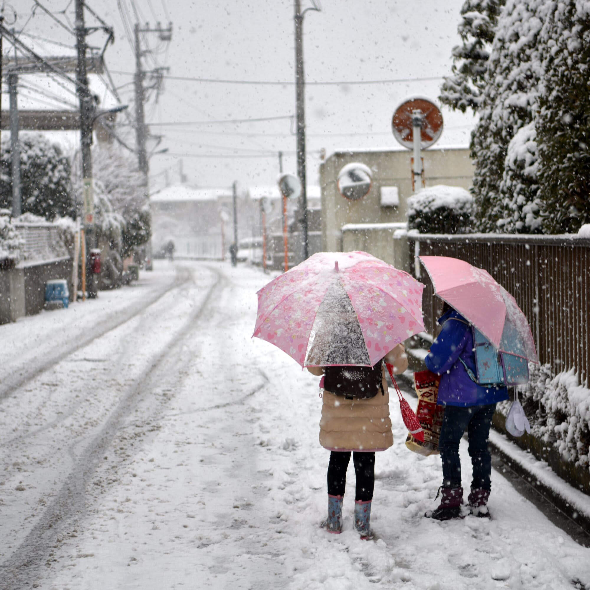 Tokyo Snow Scapes photo9