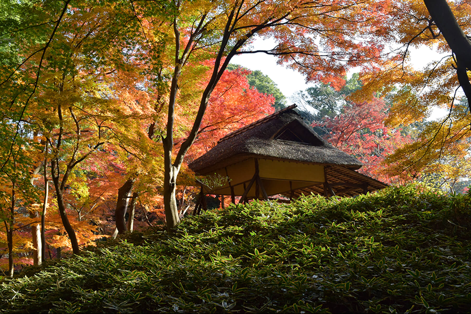 Tokyo’s Lush Green Spaces and the Zen of “Bleisure” image
