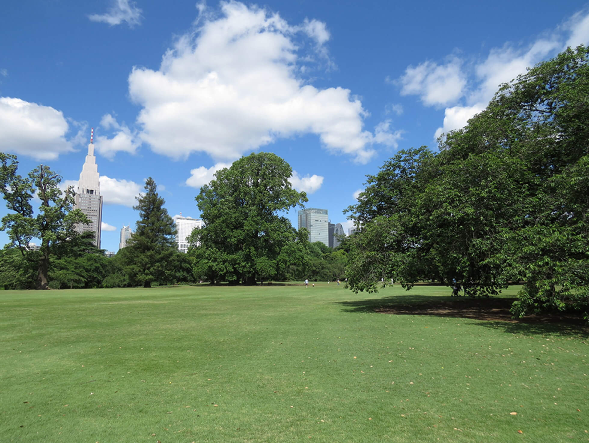 Tokyo’s Lush Green Spaces and the Zen of “Bleisure” image