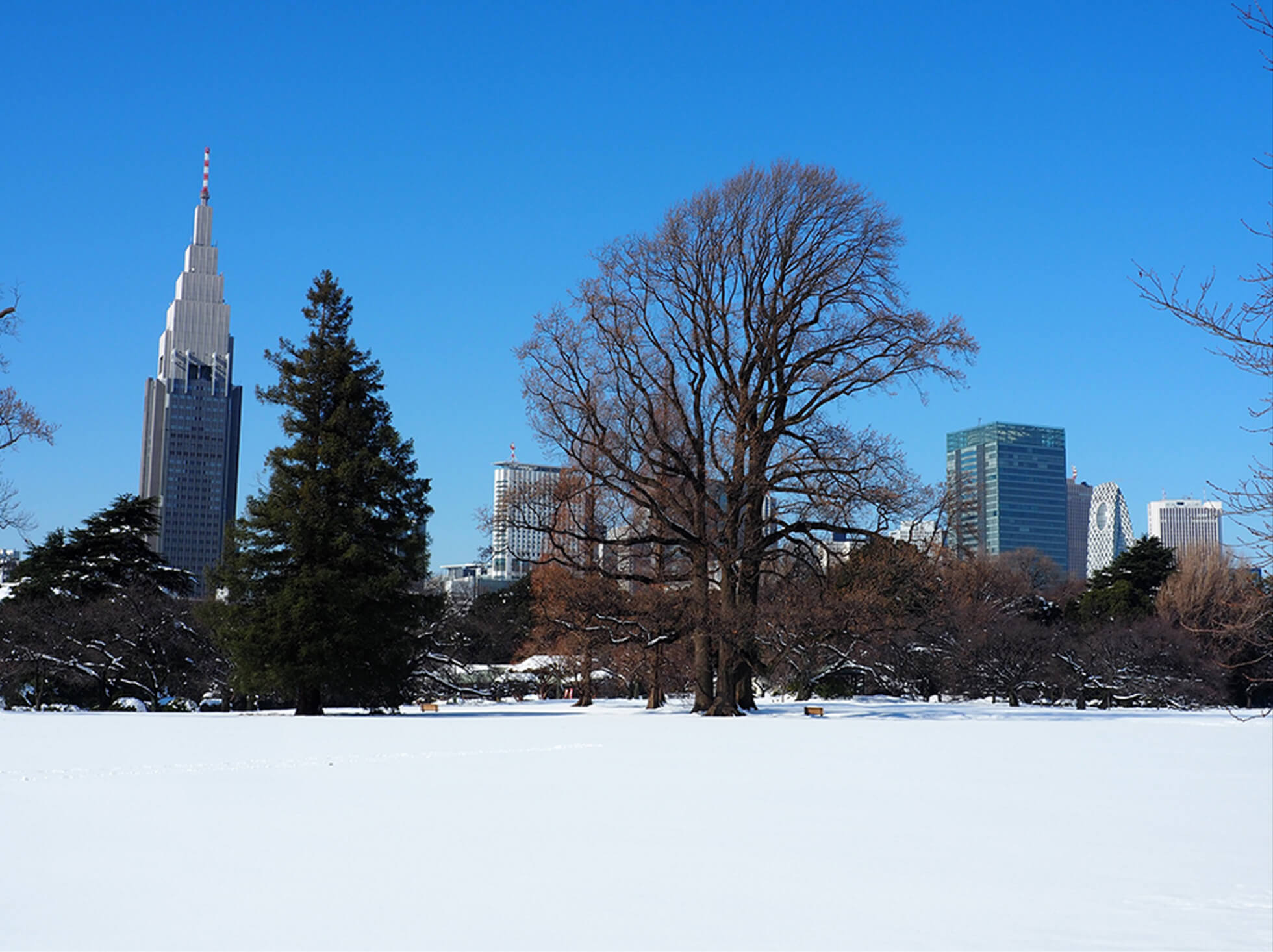 Tokyo’s Lush Green Spaces and the Zen of “Bleisure” image