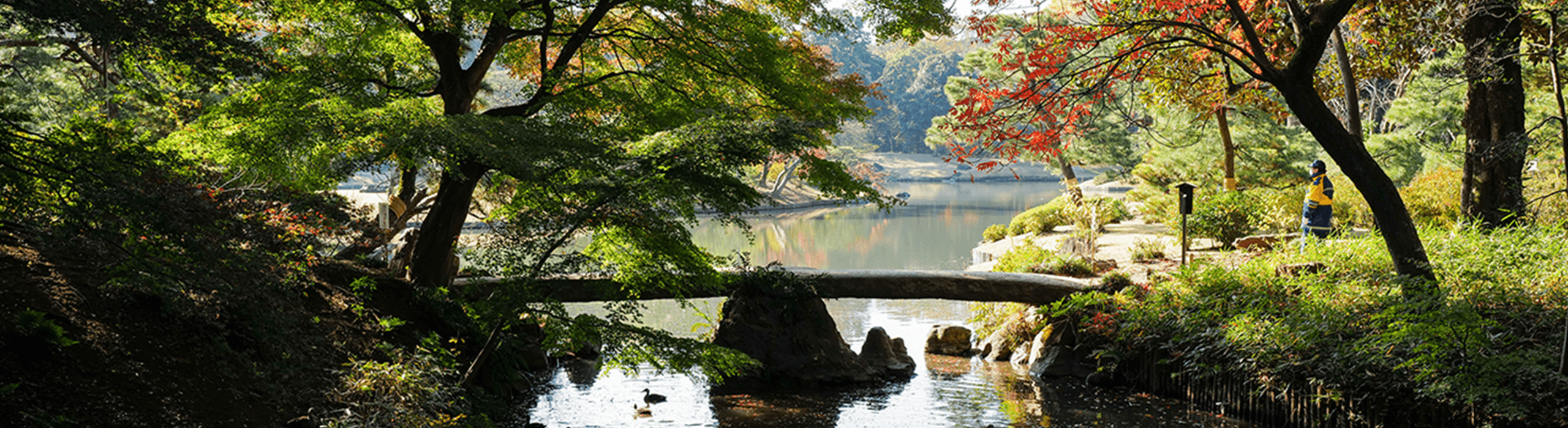 Tokyo’s Lush Green Spaces <br class='u-is-pc'>and the Zen of “Bleisure” Key Visual