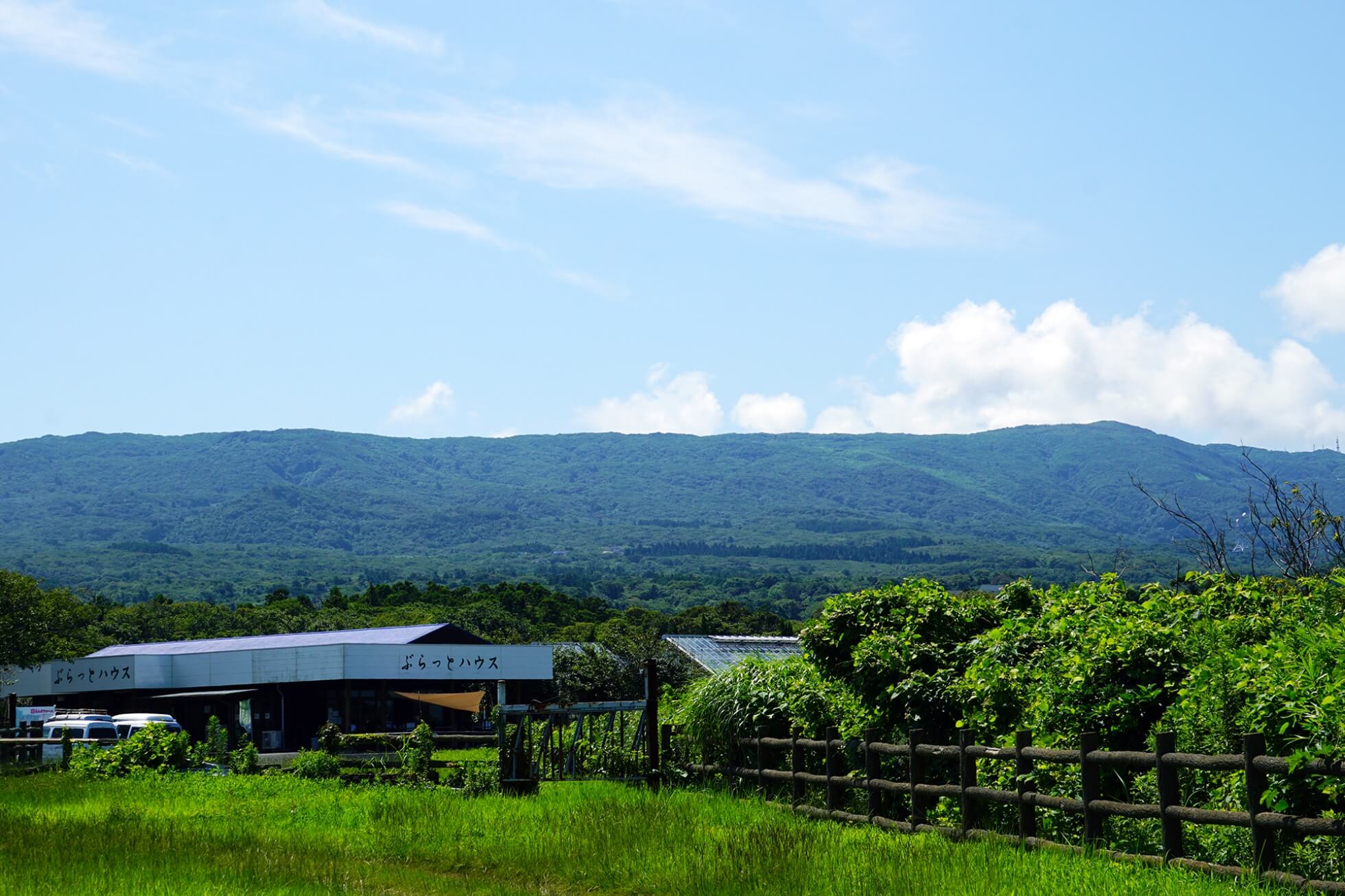 Sustainable Food Culture of Tokyo's Islands image1