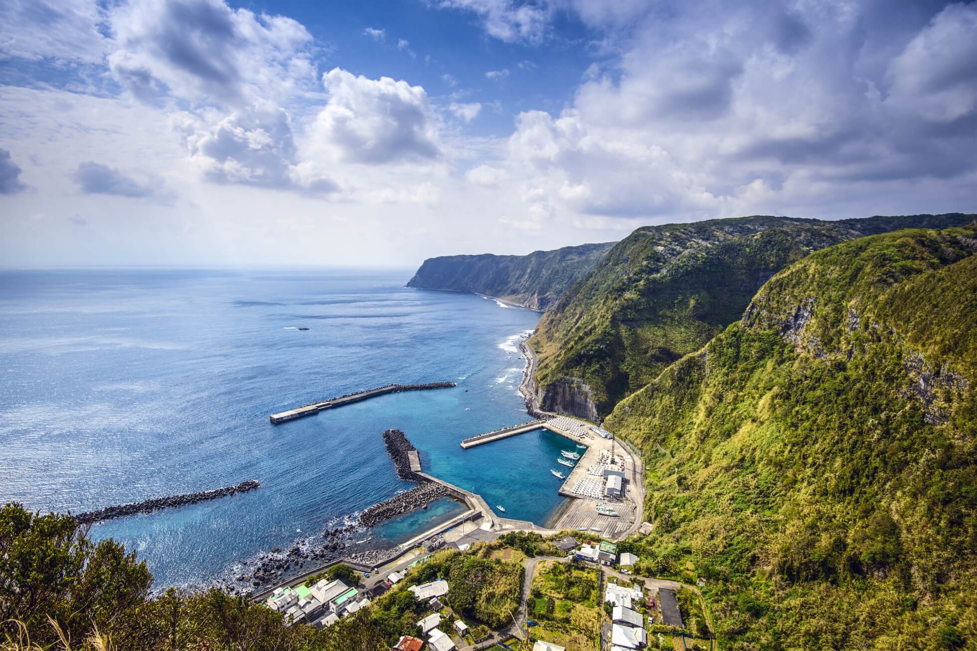 Sustainable Food Culture of Tokyo's Islands image1