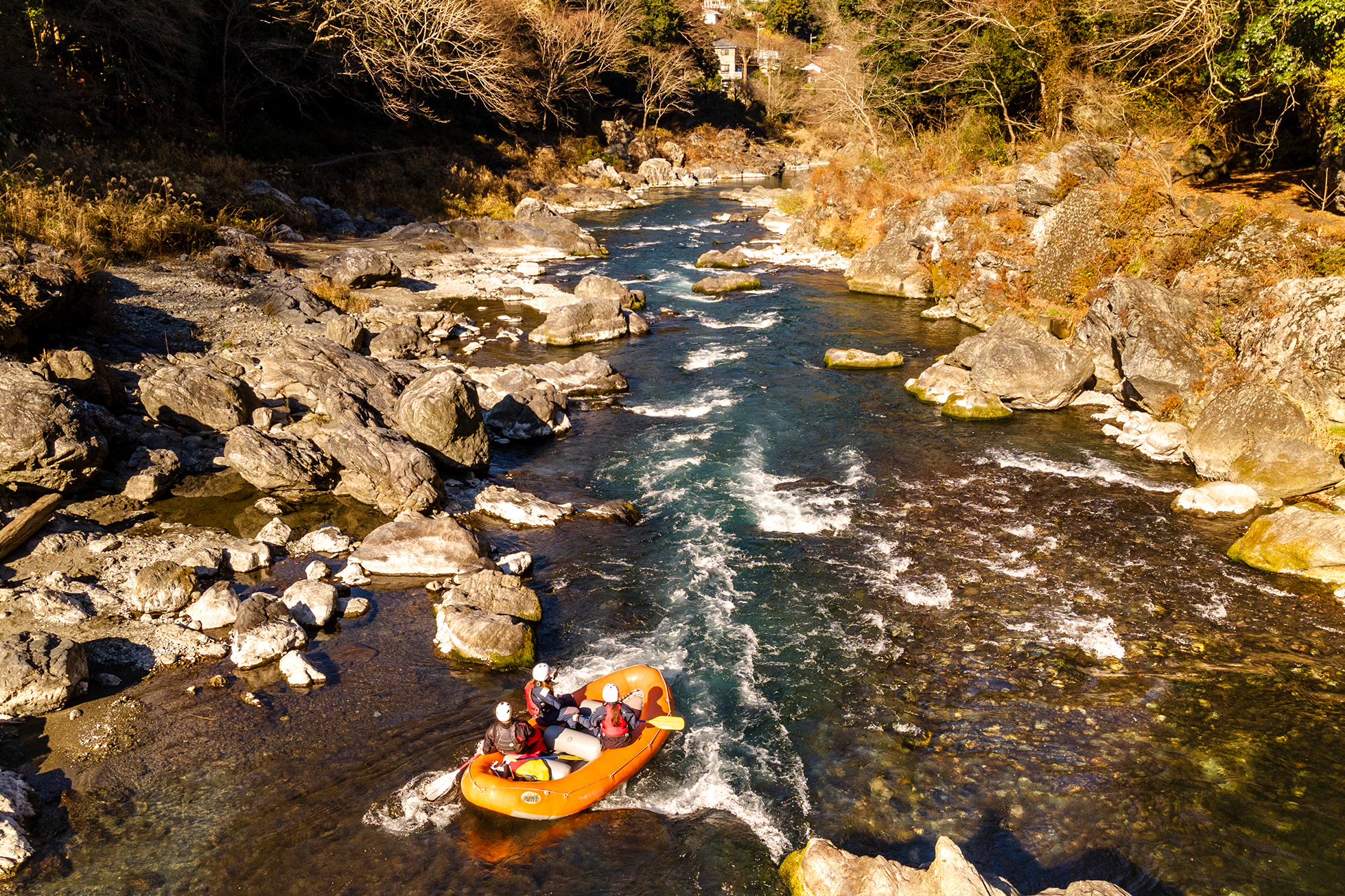 Sustainable Food Culture of Tokyo's Islands image