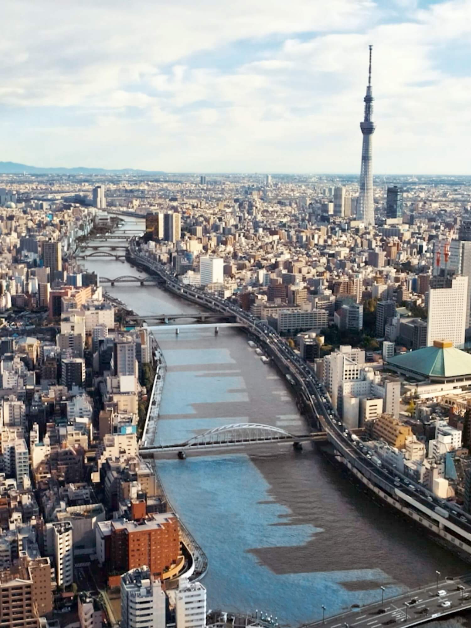 From hiking to unique dining experiences, Tokyo is open image