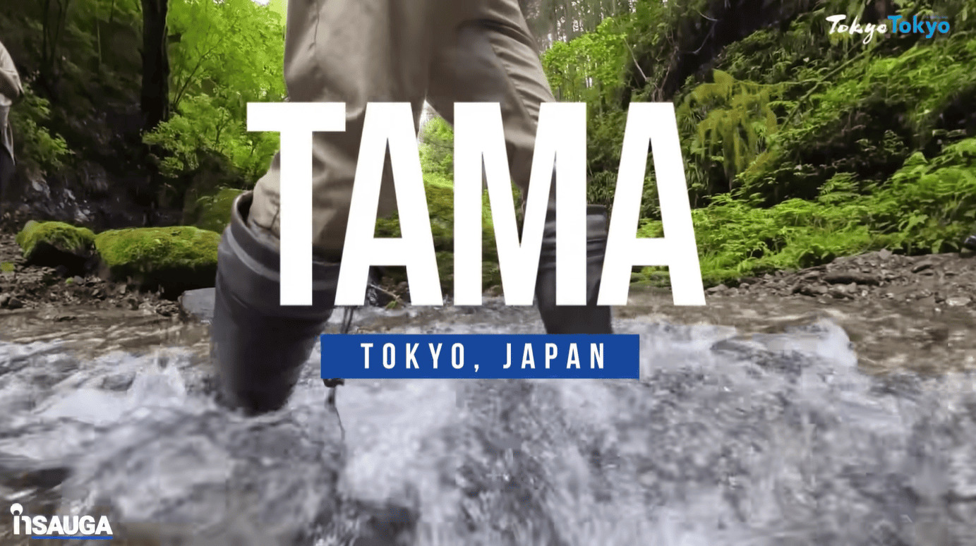 TAMA