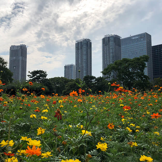 Tokyo's Hidden Treasures image 9