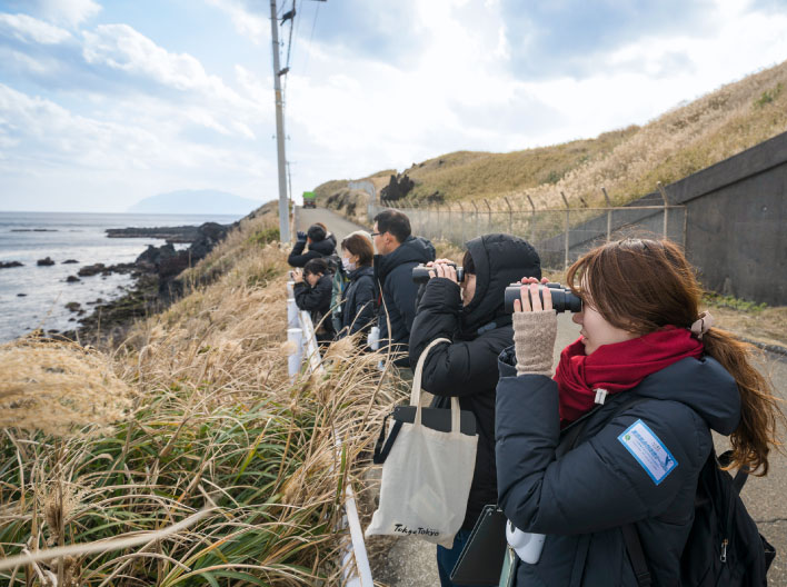 遠くのクジラを観察する参加者