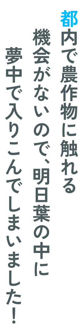 都内で農作物に触れる機会がないので、明日葉の中に
夢中で入りこんでしまいました！