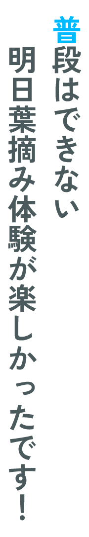 普段はできない明日葉摘み体験が楽しかったです！