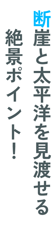 断崖と太平洋を見渡せる絶景ポイント！