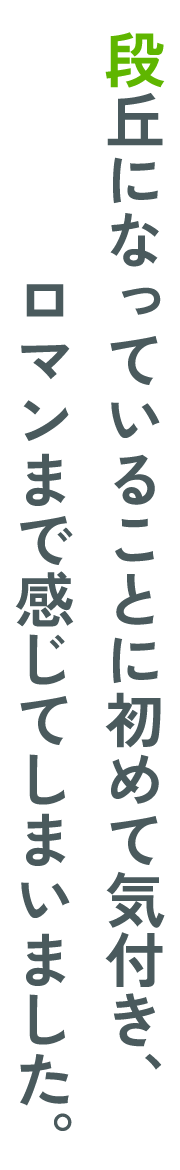 段丘になっていることに初めて気付き、ロマンまで感じてしまいました。