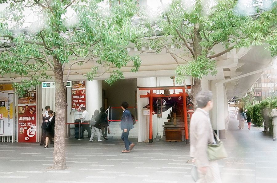 Ginza and Omotesando photo5